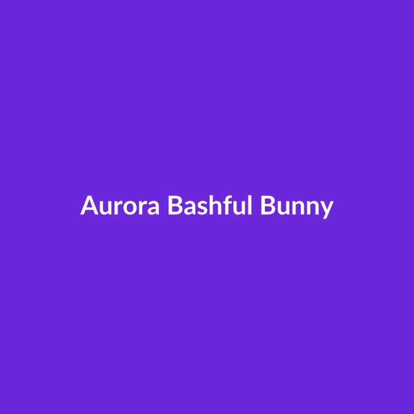 Aurora Bashful Bunny - 2