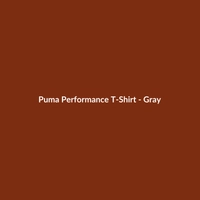 Puma Performance T-Shirt in Gray for Men, Classic Fit, Nylon Material