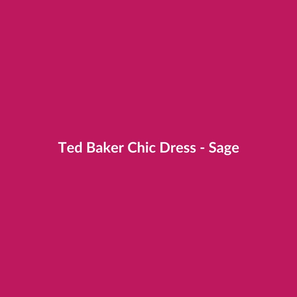 Ted Baker Chic Dress - Sage - 2