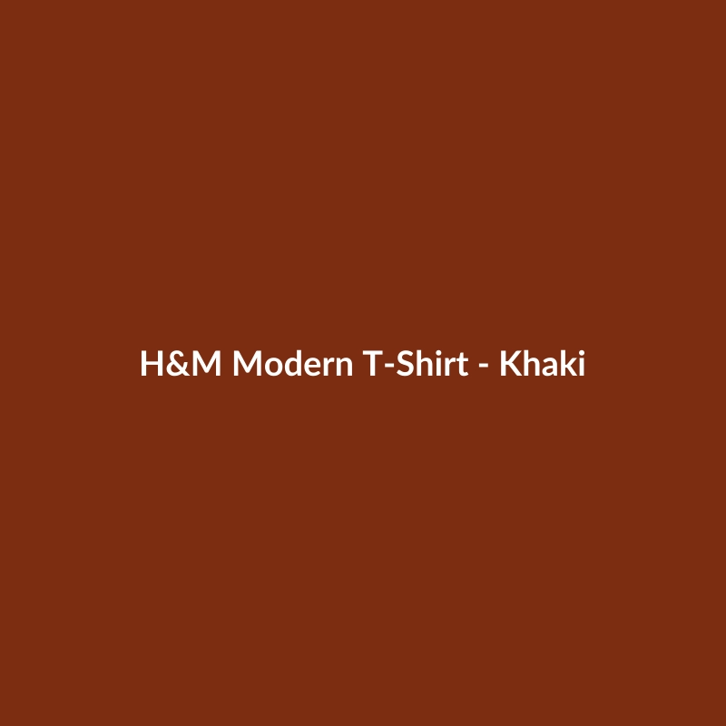 H&M Modern Khaki T-Shirt for men, featuring a regular fit and nylon material.