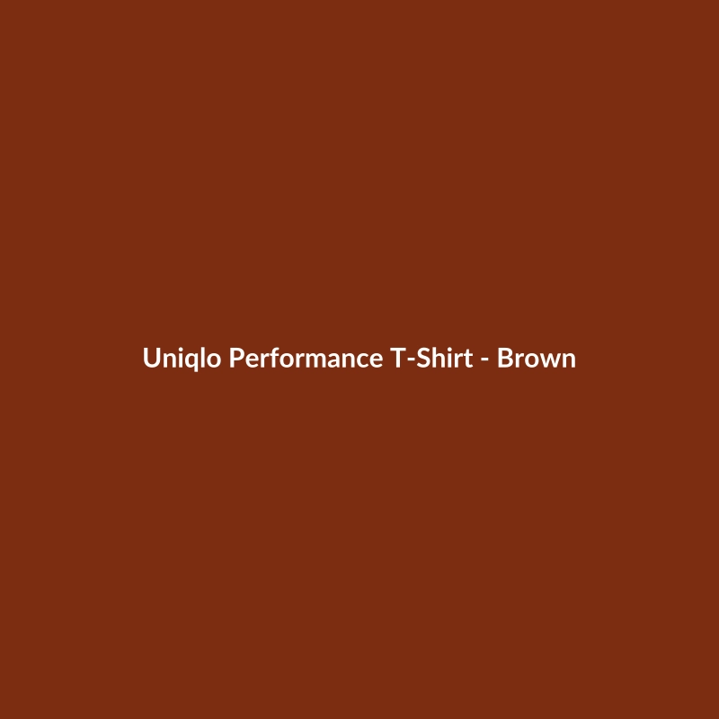 Uniqlo Performance T-Shirt in brown, men's regular fit, made from suede material.
