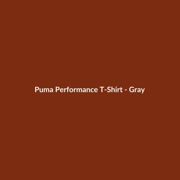 Puma Performance T-Shirt - Gray - 2