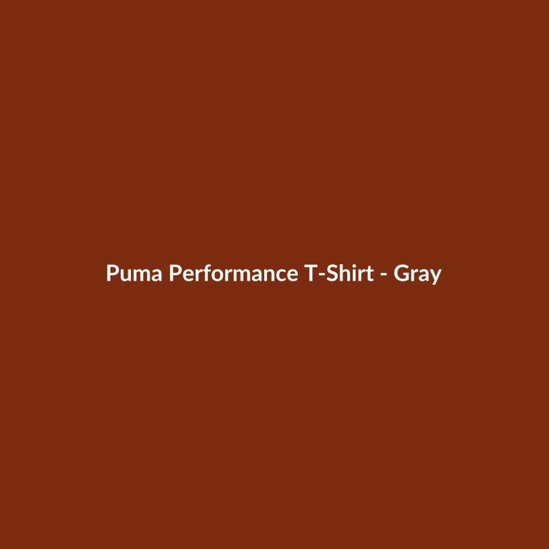 Puma Performance T-Shirt in Gray for Men, Classic Fit, Nylon Material
