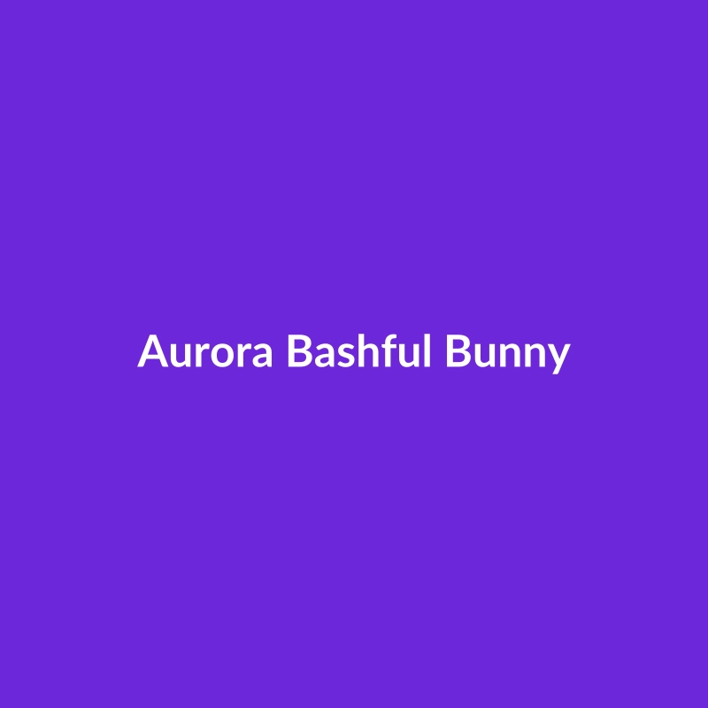 Aurora Bashful Bunny stuffed animal, a soft and cuddly toy for children aged 3-5 years.